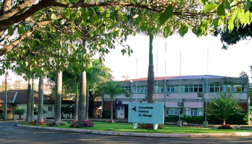 UEM abre inscrições de teste seletivo para contratação de professores temporários nesta quinta (18) UEM abre inscrições de teste seletivo para contratação de professores temporários nesta quinta (18)