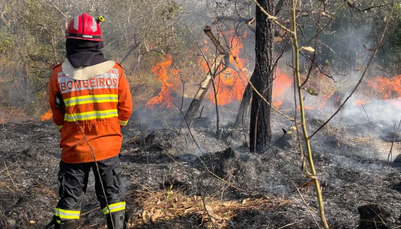 Bombeiros do Paraná registra aumento de 55% no total de ocorrências com incêndios