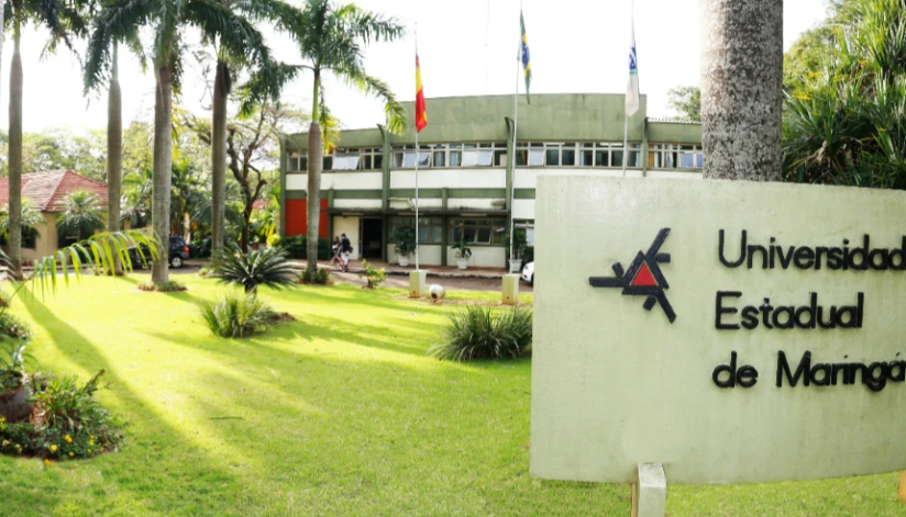 Unidade de Psicologia Aplicada da UEM oferta grupo de orientação profissional para adolescentes