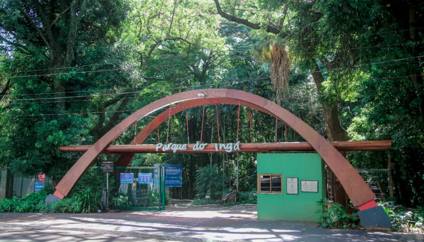 Parque do Ingá promove ‘Noite das Mariposas’ neste sábado (25); saiba como se inscrever Parque do Ingá promove ‘Noite das Mariposas’ neste sábado (25); saiba como se inscrever