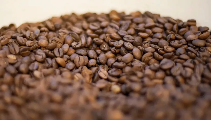 Ministério da Agricultura manda recolher 16 marcas de cafés impróprios para consumo Ministério da Agricultura manda recolher 16 marcas de cafés impróprios para consumo