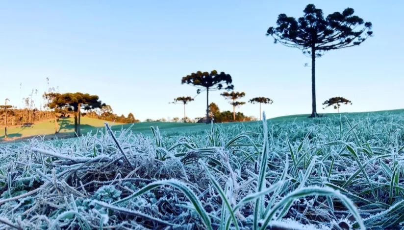 Temperaturas próximas de 0ºC: primeira onda de frio chega ao Paraná na próxima semana