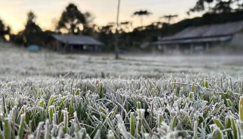 Paraná pode registrar temperaturas de até -2°C; confira previsão Paraná pode registrar temperaturas de até -2°C; confira previsão