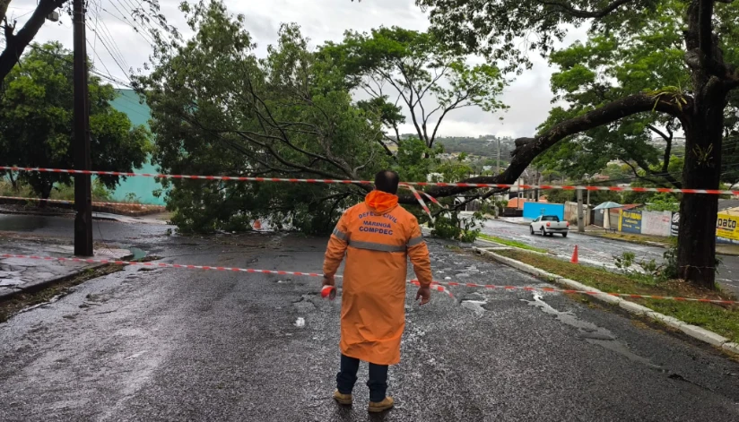Rajadas de vento de 99 km/h foram registradas em Maringá durante temporal