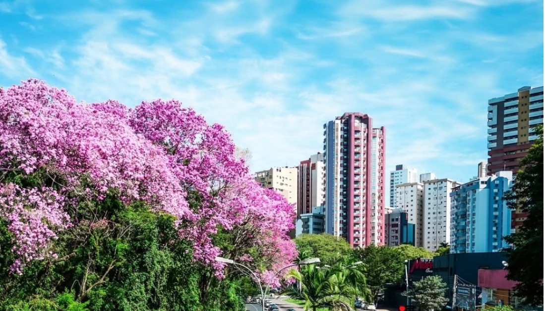 Final de semana será de temperaturas amenas e ensolarado, em Maringá