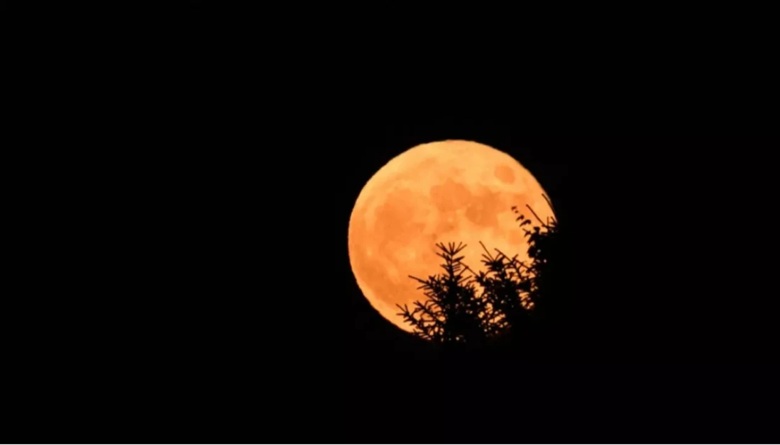 Madrugada desta quarta-feira (11) terá Lua de Morango; entenda o fenômeno Madrugada desta quarta-feira (11) terá Lua de Morango; entenda o fenômeno