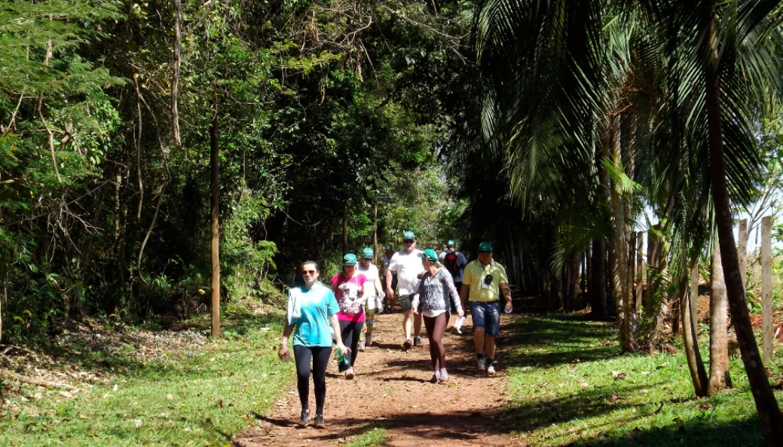 Caminhadas na Natureza: confira a programação de junho no Paraná