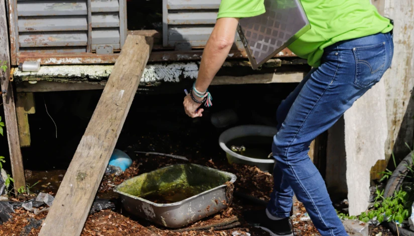 Em 2025, números de casos e mortes causadas pela dengue diminuíram mais de 80% no Paraná